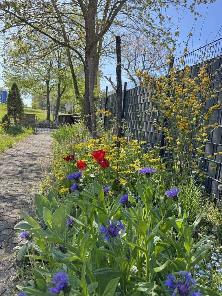 Immobilie in Kruft - Familienidyll in Kruft mit viel Platz, verkehrsberuhigte Lage an einer Sackgasse, großer Garten - Bild 3
