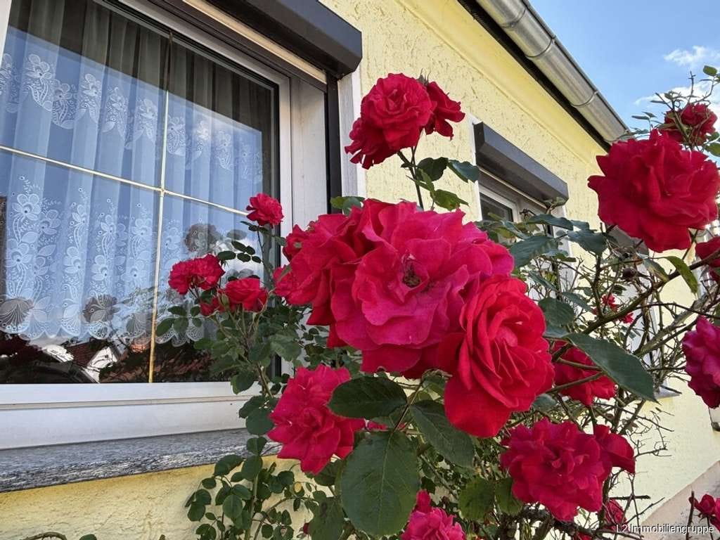 Immobilie in Röderaue - Gemütliche Doppelhaushälfte mit großem Grundstück und Doppelgarage in ruhiger Siedlungslage - Bild 0