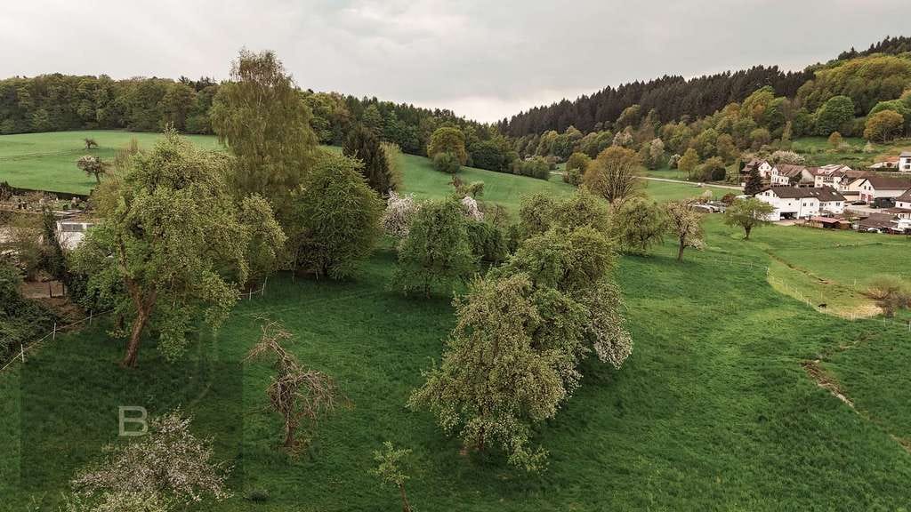 Immobilie in Neckarsteinach - FAMILIÄR. GRÜN. IDYLLISCH. | DARSBERG - Bild 2