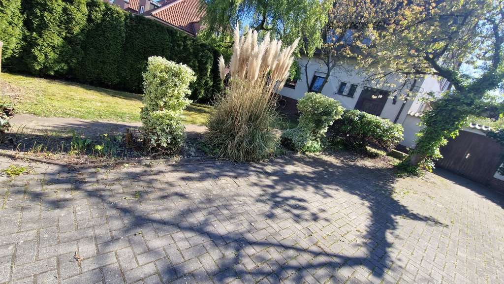Immobilie in Hasbergen - Idyllisches Ein- Zweifamilienhaus mit großem Potenzial in zentraler Lage von Hasbergen  - Bild 3