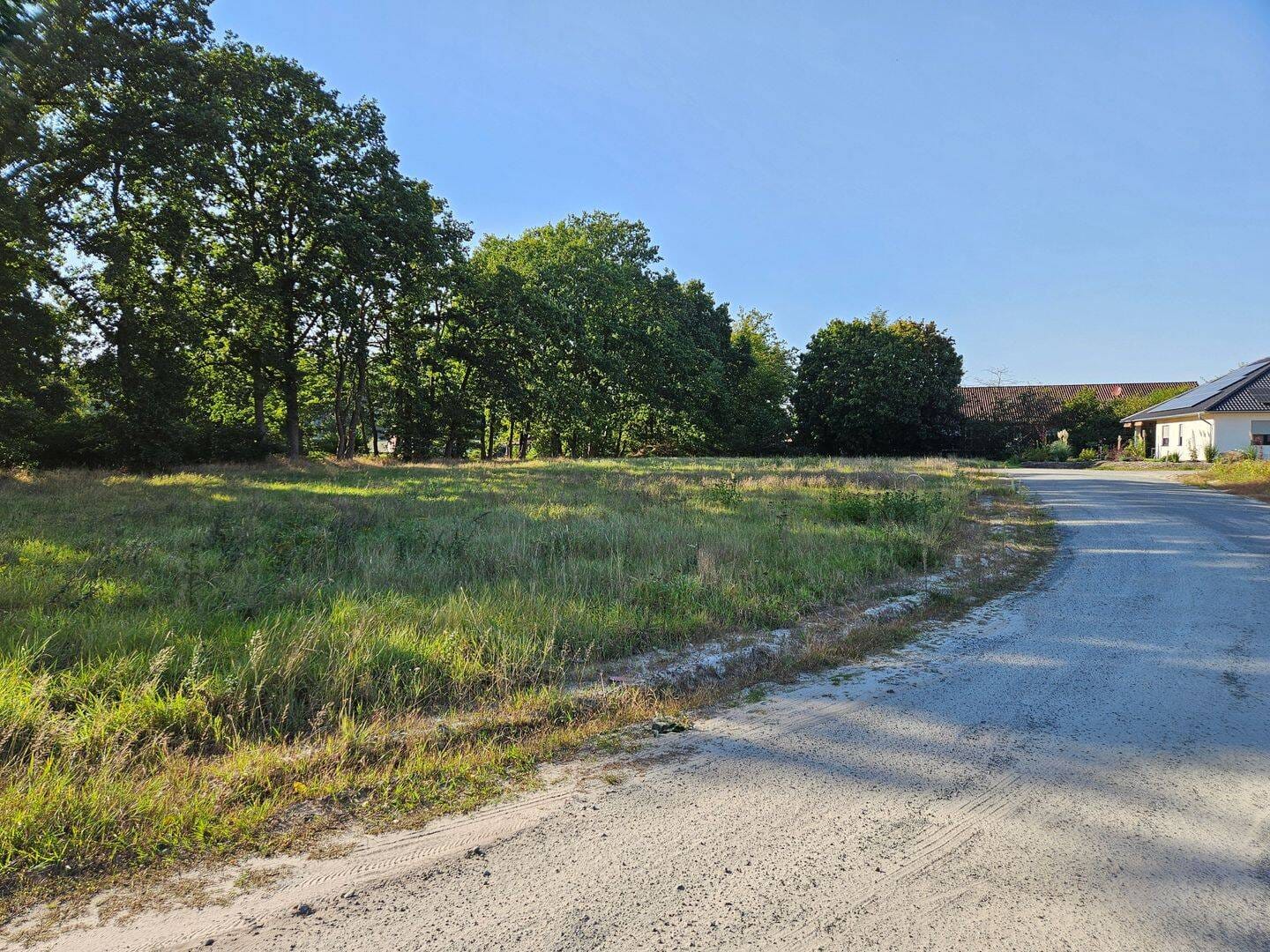 Immobilie in Hoyerhagen - Mit Grundstück, ein Komforthaus für jedermann in Hoyerhagen. - Bild 3