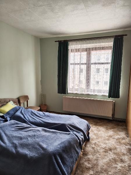 Immobilie in Wittenberg - Zweifamilienhaus in Lutherstadt Wittenberg - Bild 3
