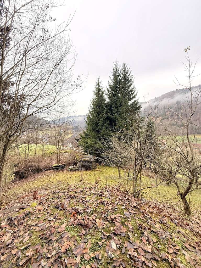 Immobilie in Kleines Wiesental - Zweifamilienhaus in ruhiger Lage mit Bergblick und Sonnenterrasse - Bild 2