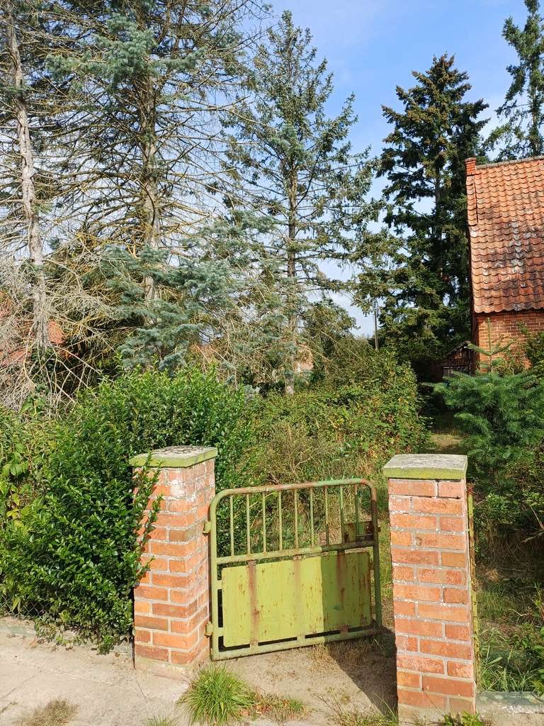 Immobilie in Dömitz - Alte Häuslerei sucht Handwerker oder Individualisten - Bild 3