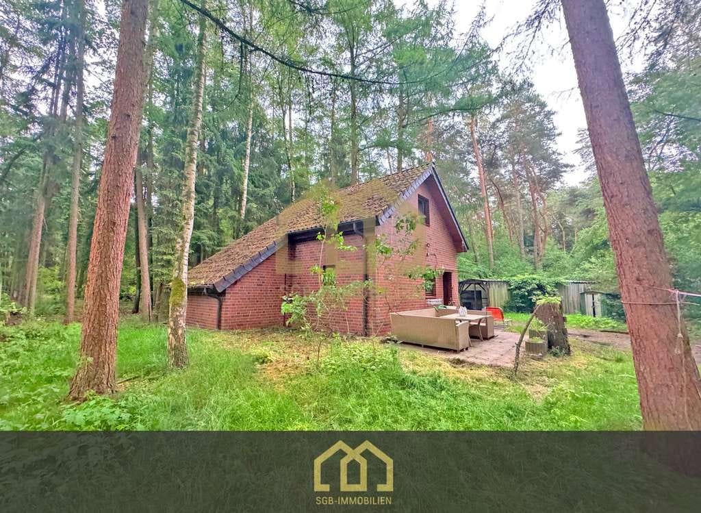Immobilie in Wildeshausen - 6.503 m² Naturparadies an der Hunte – Wochenendhaus in traumhafter Waldlage - Bild 0