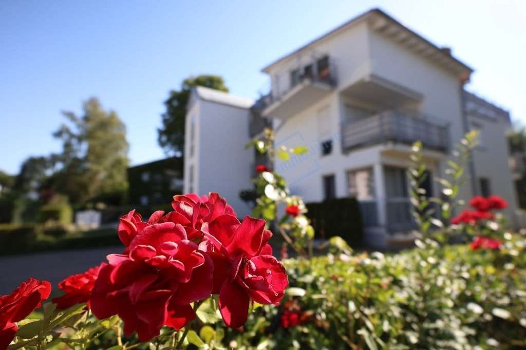 Immobilie in Mühltal - BLÜTE IN TRAUTHEIM ...  - Bild 0