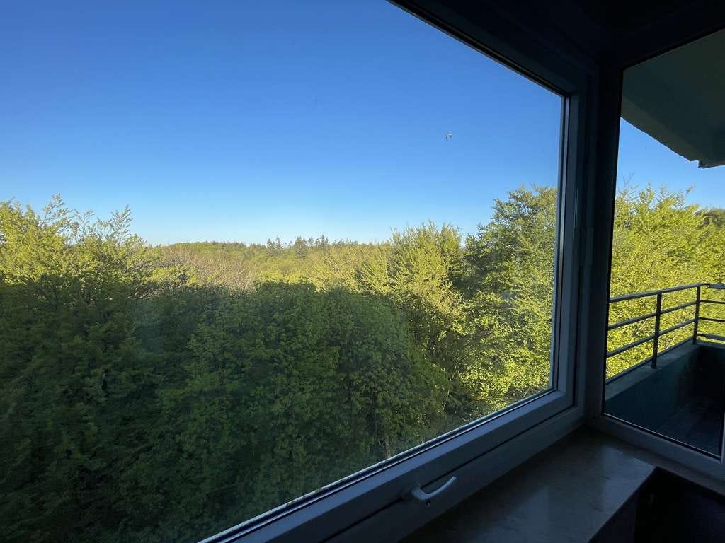 Immobilie in Glücksburg - Ostsee, dem Himmel ein Stück näher, toller Ausblick, 2 Wohnungen - Bild 3