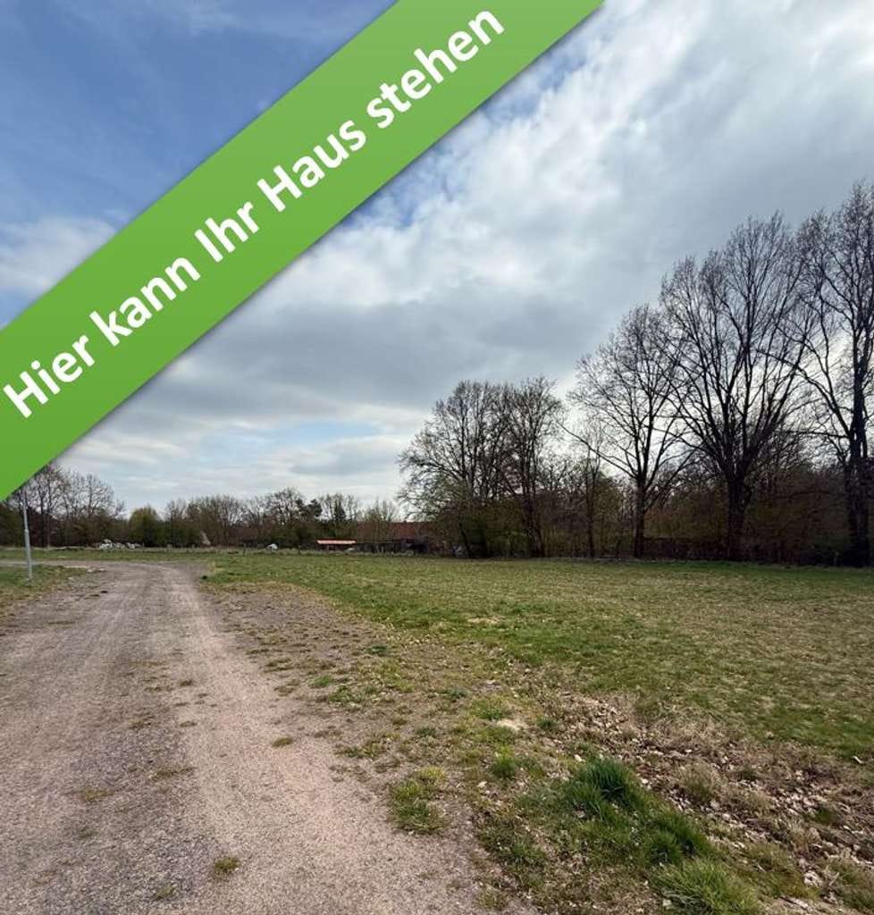 Immobilie in Hohne - Inkl. Grundstück, ein Komforthaus für jedermann in Helmerkamp. - Bild 1
