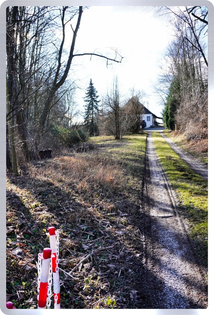Immobilie in Sankt Wolfgang - KREIPL-IMMO -NEUER PREIS- St.Wolfgang- EFH im Grünen - NATUR PUR - Bild 1