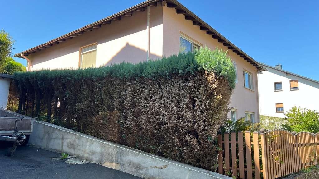 Immobilie in Driedorf - Einfamilienhaus mit ELW in 35759 Driedorf-Mademühlen - Bild 3