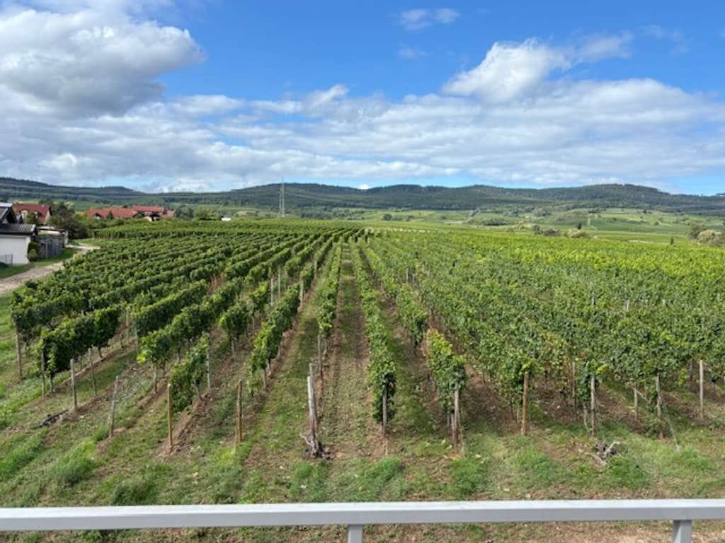Immobilie in Oestrich-Winkel - gepflegte 4 Zimmer Wohnung - Bild 2