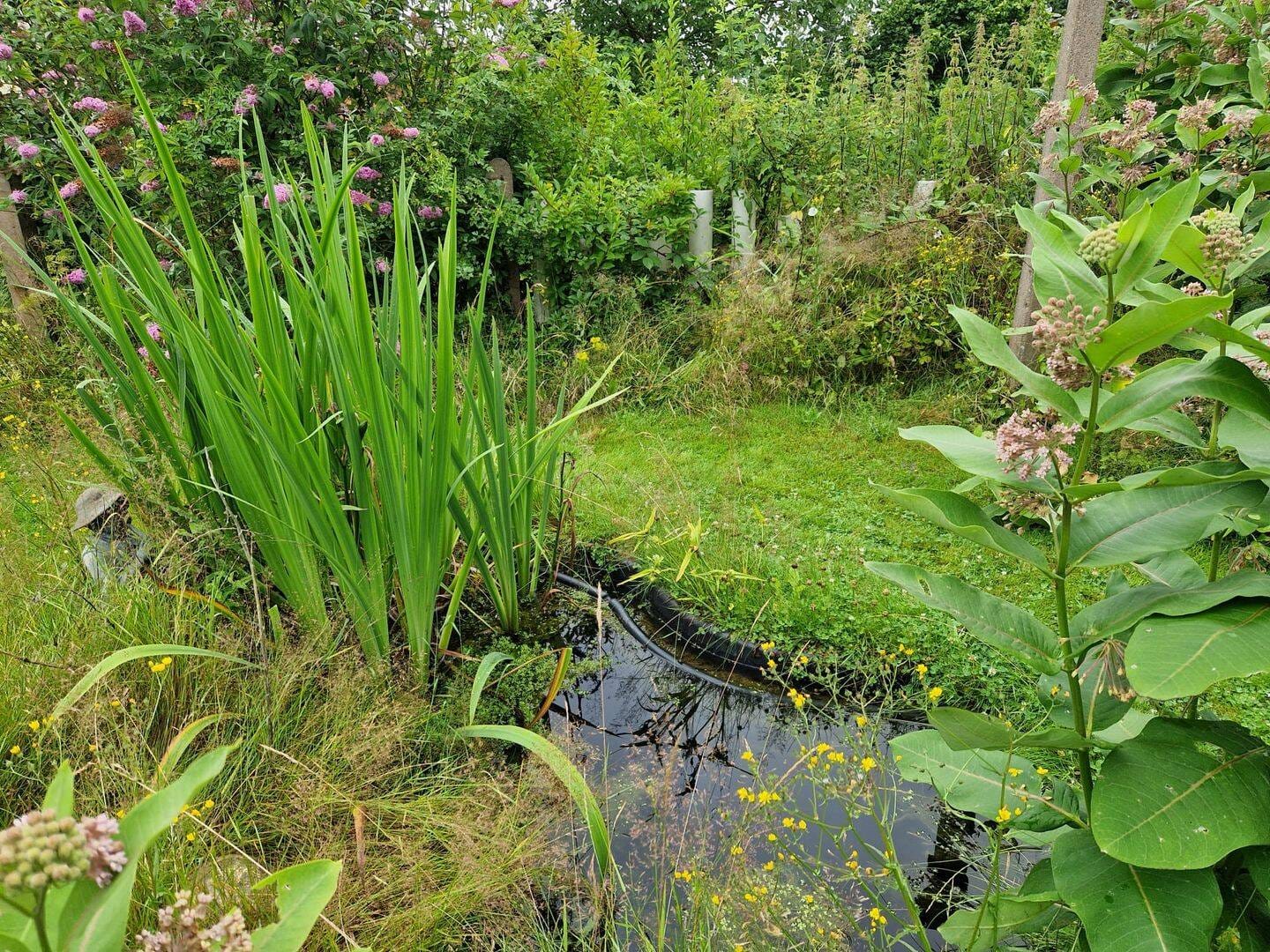 Immobilie in Porta Westfalica - Großzügiges Bauernhaus mit Garten - Bild 2