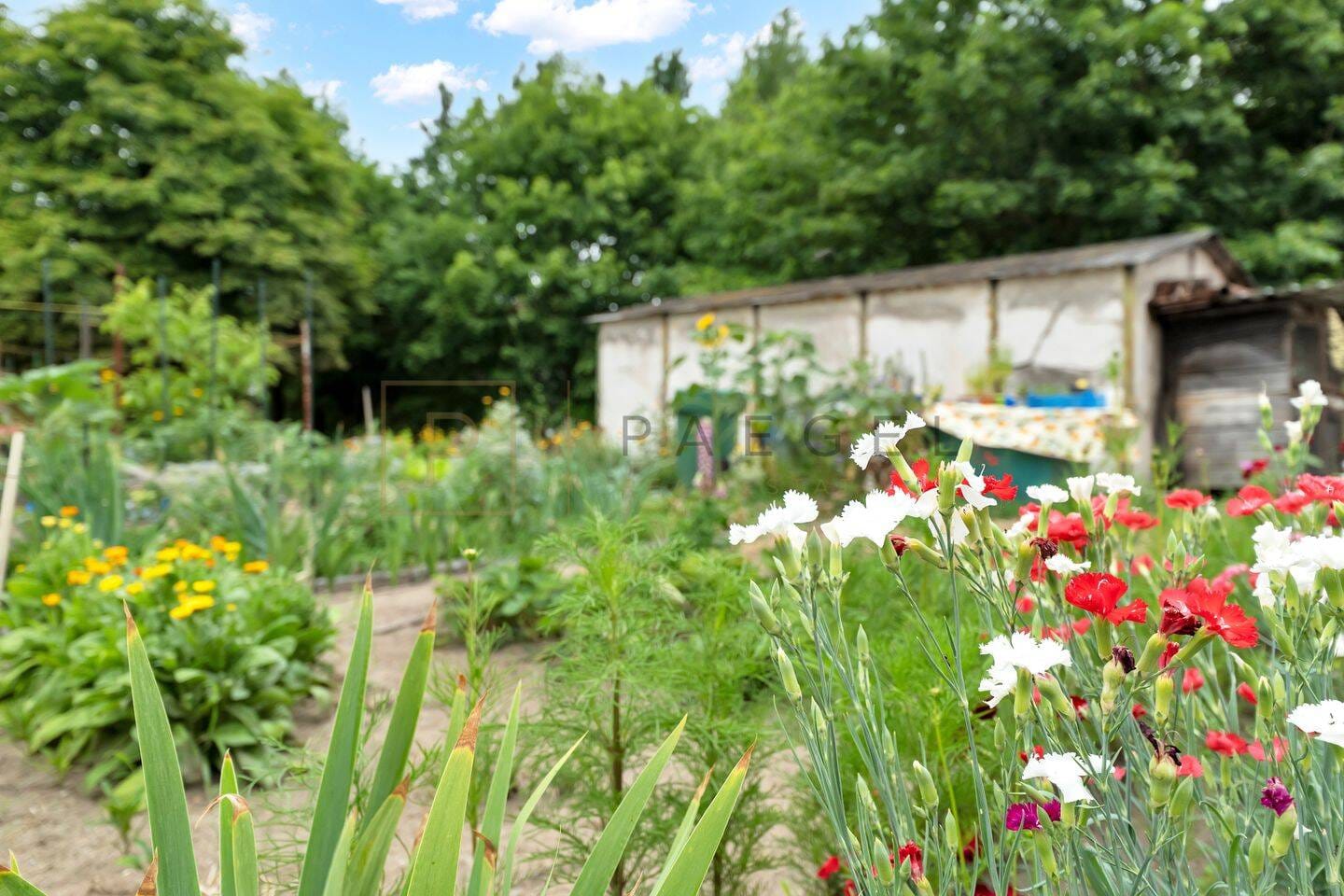 Immobilie in Schwielowsee - Mehrfamilienhaus als attraktive Kapitalanlage mit Entwicklungspotenzial im Herzen von Caputh - Bild 1
