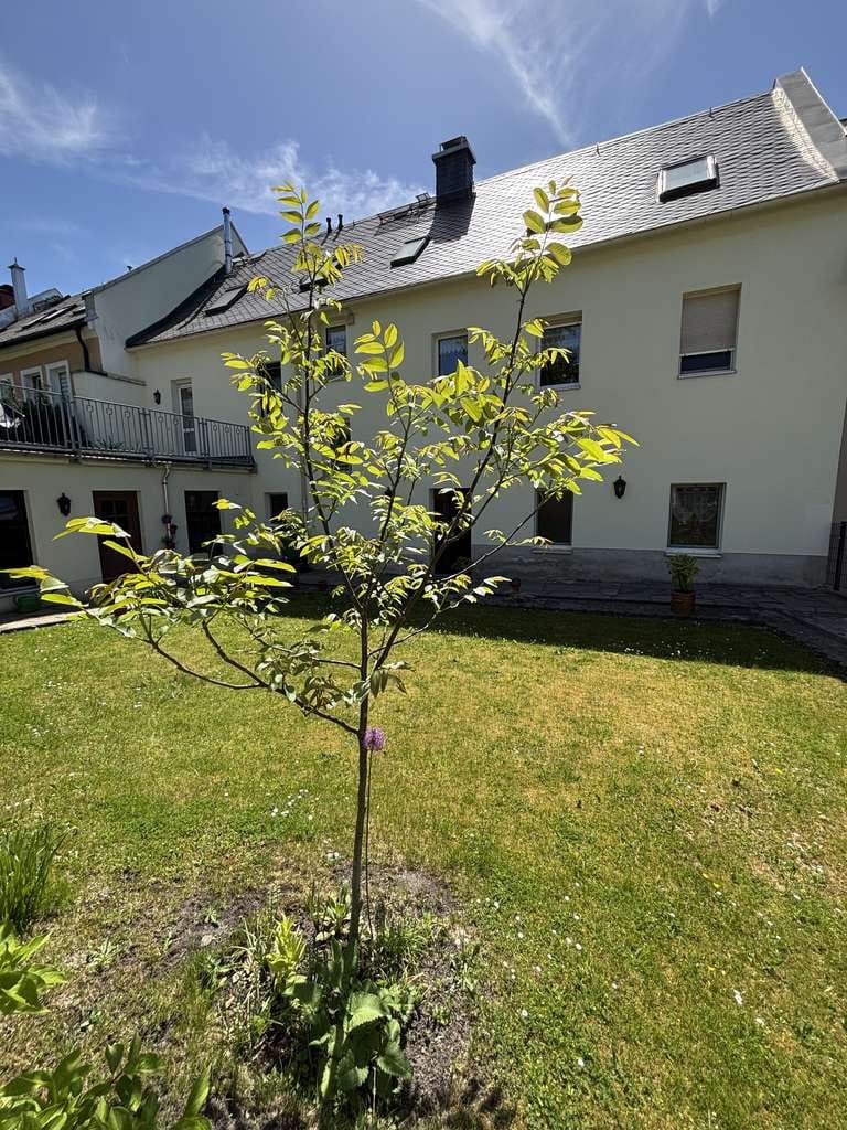 Immobilie in Annaberg-Buchholz - Stilvolles denkmalgeschütztes Stadthaus mit Gästeeinheiten, Terrasse und großem Garten in Annaberg - Bild 0