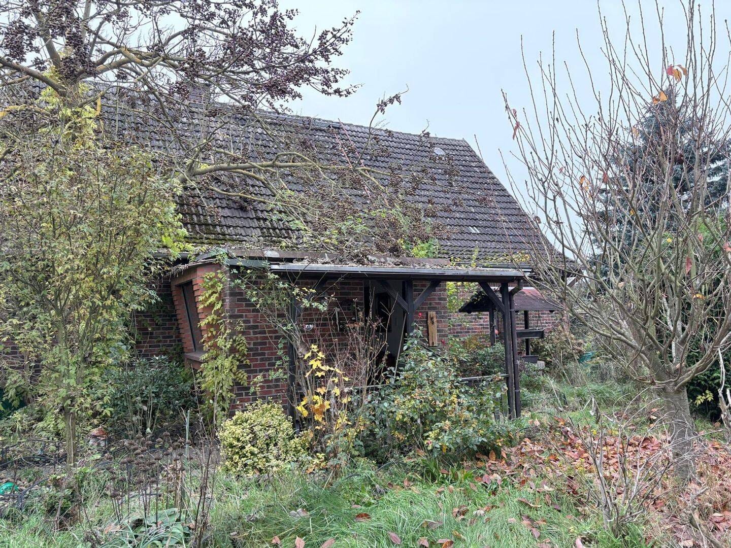 Immobilie in Zehdenick - Big Deal für kreative Köpfe: Charmantes Landhaus mit großem Grundstück, Nebengebäuden und Erdkeller - Wohnen, Arbeiten oder Neubau verwirklichen - Bild 3