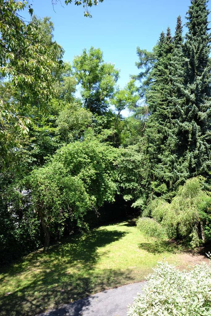 Immobilie in Hilchenbach - Provisionsfrei: Renovierungsprojekt übernehmen – EFH mit Natur & Privatsphäre - Bild 3