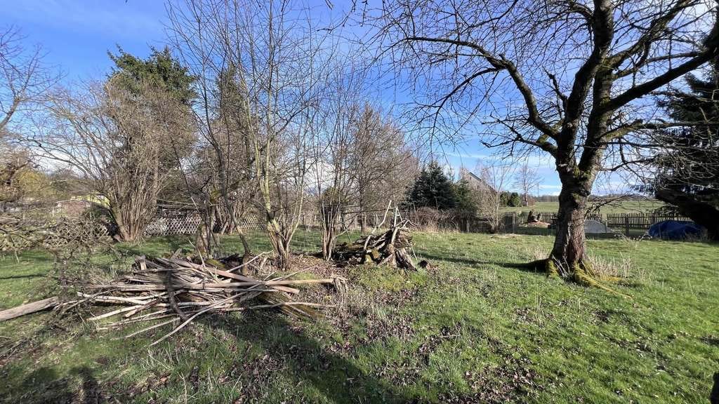 Immobilie in Lichtentanne - Glücksschmiede auf dem Land! - Bild 2