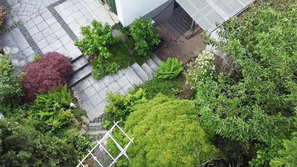Immobilie in Hochdorf-Assenheim - Provisionsfreies Einfamilienhaus mit 594 m² Grundstück, Südgarten, Doppelgarage, Sauna - Bild 4