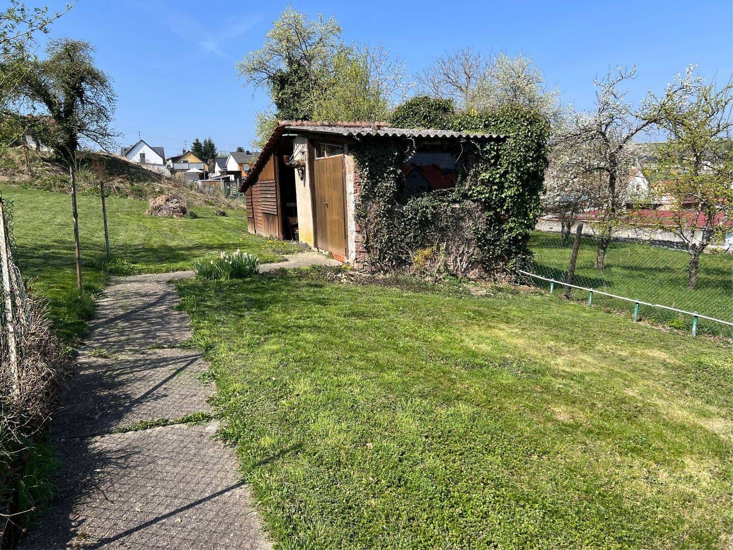 Immobilie in Maßweiler - Schnuckliches Einfamilienhaus mit großem Grundstück in Maßweiler - Bild 3