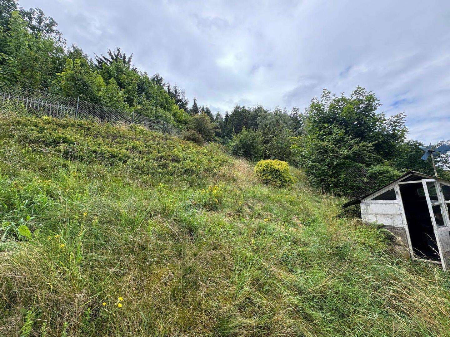 Immobilie in Burkhardtsdorf - Gemütliches Einfamilienhaus in Burkhardtsdorf! - Bild 4