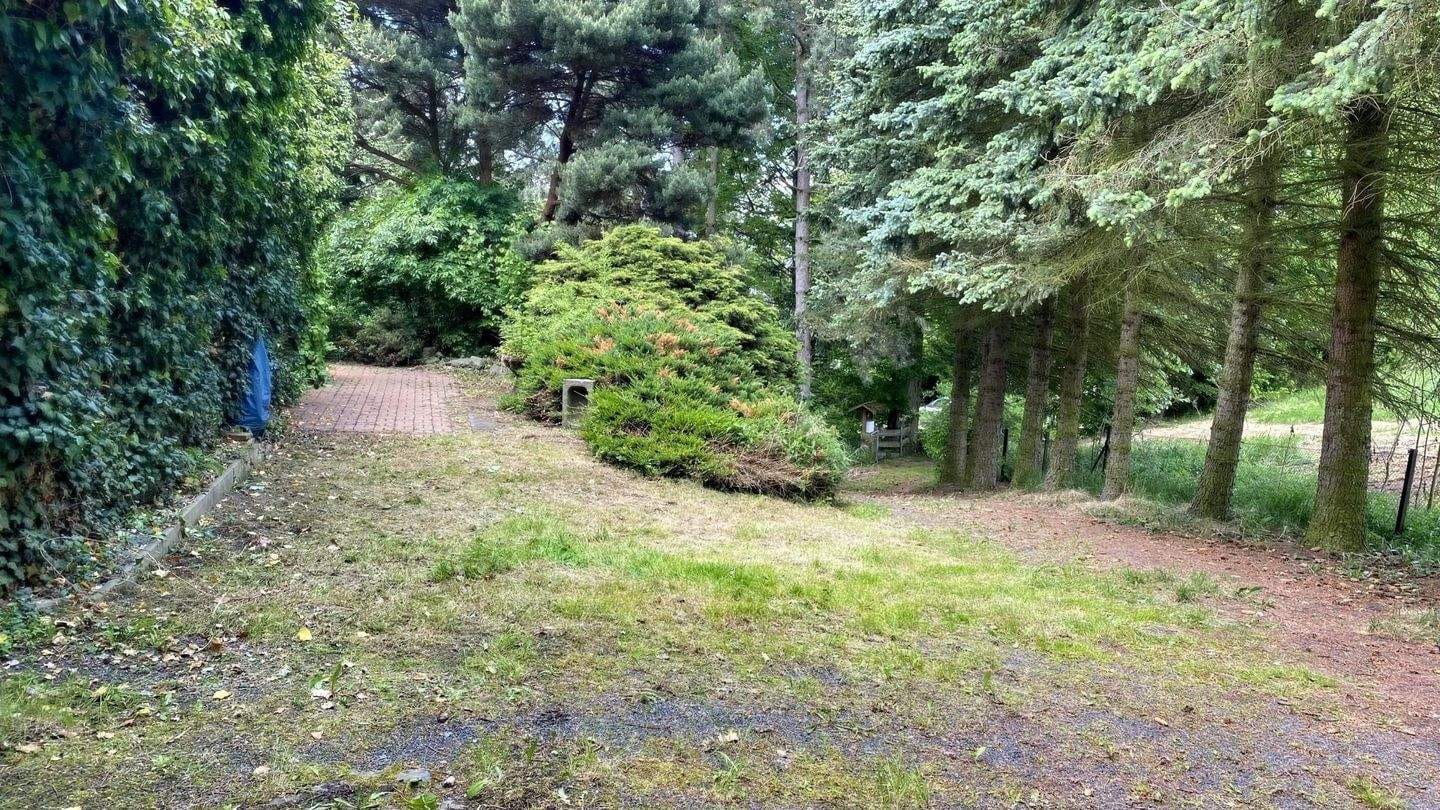Immobilie in Bertsdorf-Hörnitz - In idyllischer Randlage! - Bild 1