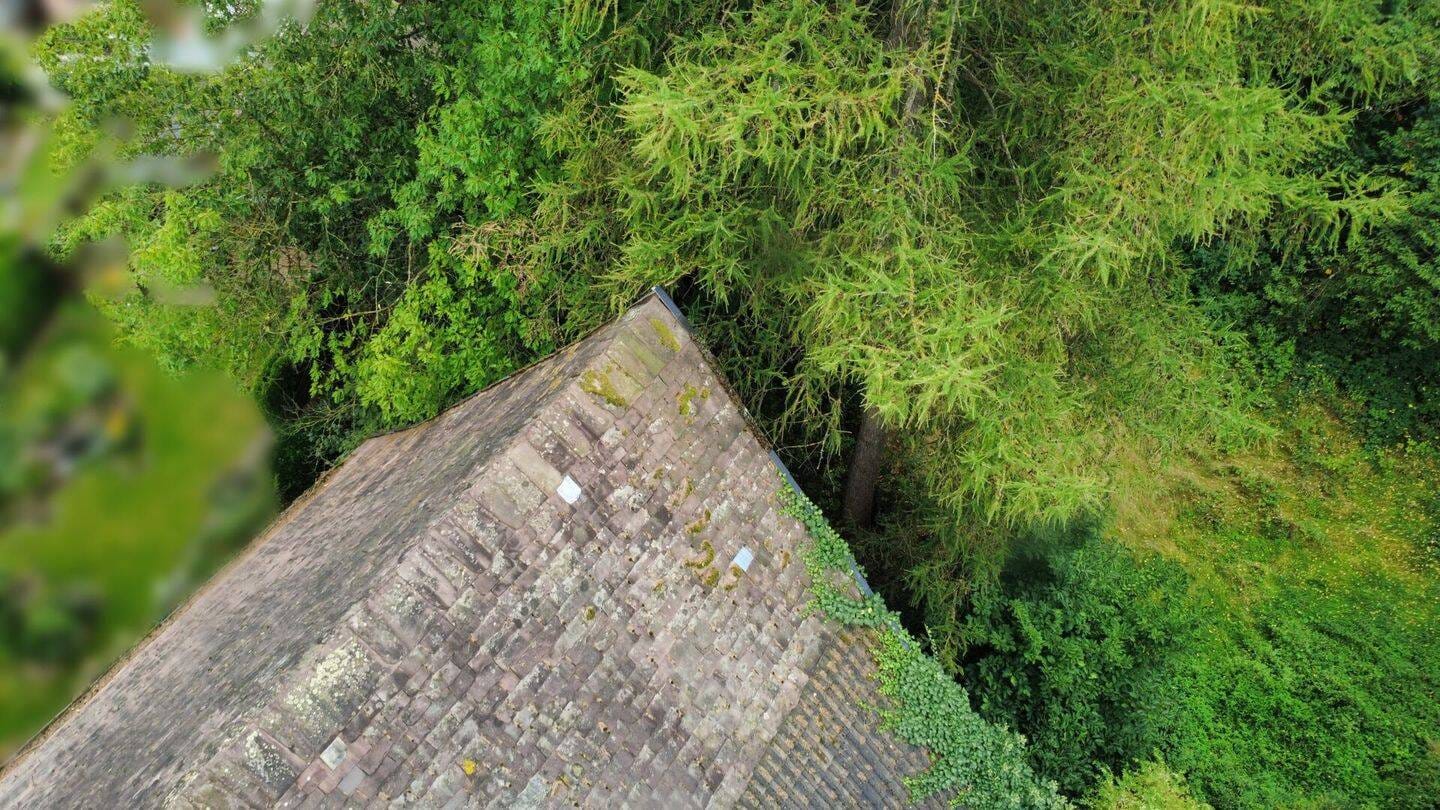 Immobilie in Lauenförde - Historischer Resthof mit viel Potenzial und parkähnlichem Garten in Lauenförde - Bild 3