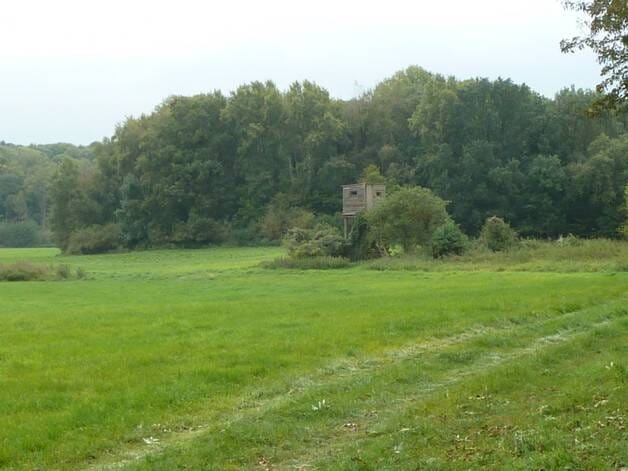 Immobilie in Uckerland - Alleinlage mit 100 qm Haus, Scheunen und 92 Hektar Land - Bild 0