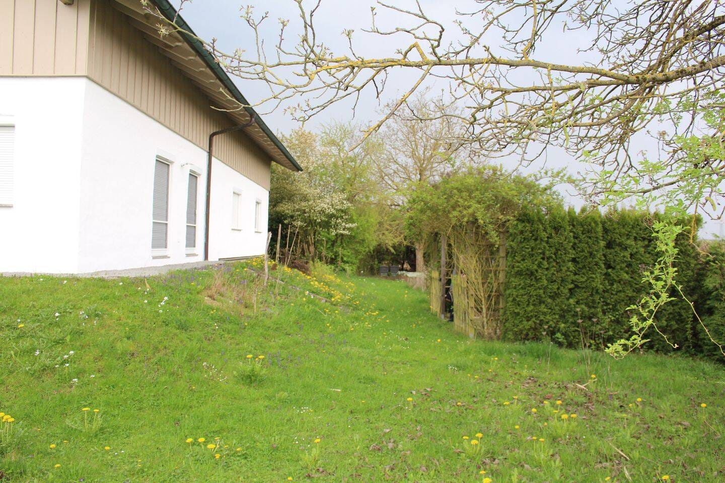 Immobilie in Hofkirchen - Wunderschönes großzügiges Einfamilienhaus mit Einliegerwohnung und idyllischem Garten in ruhiger Lage - Bild 3