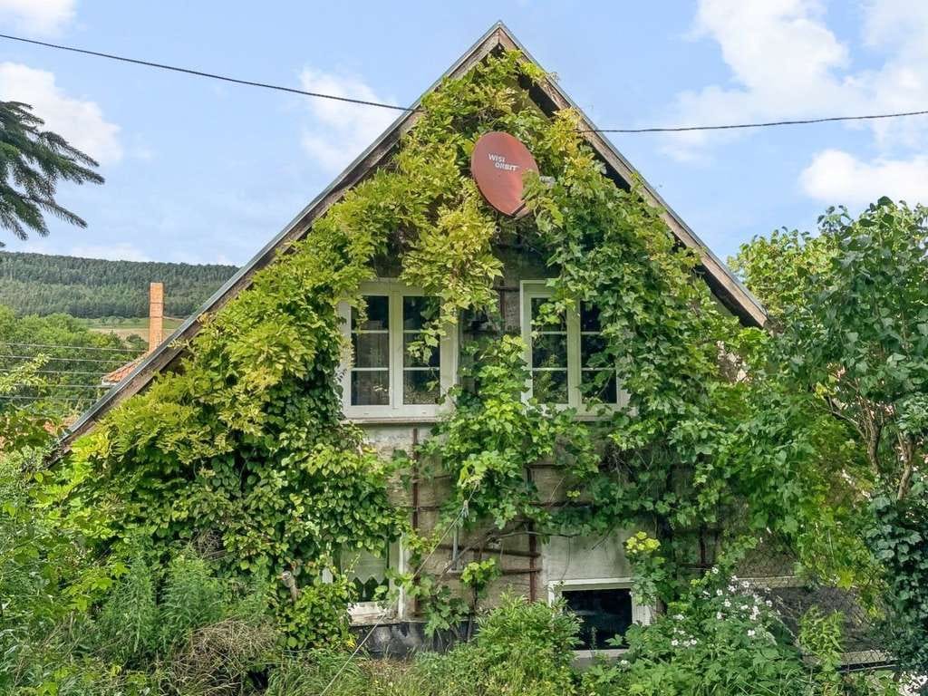 Immobilie in Altenberga - Charmantes Bauernhaus mit solidem Nebengelass in Altenberga - Bild 2