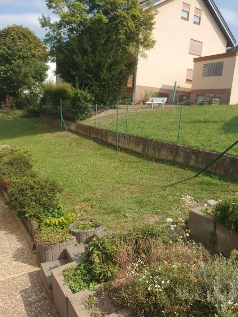 Immobilie in Bürgstadt - Bezaubernde Souterrain Wohnung - Provisionsfrei - Bild 2