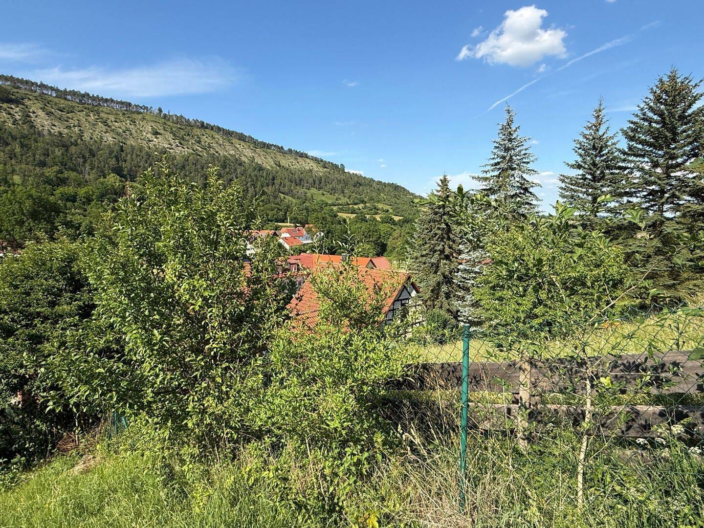 Immobilie in Jena - Traumhaft schönes Wochenendhaus auf einem Südhang-Grundstück in Jena-Leutra zum Verkauf - Bild 4