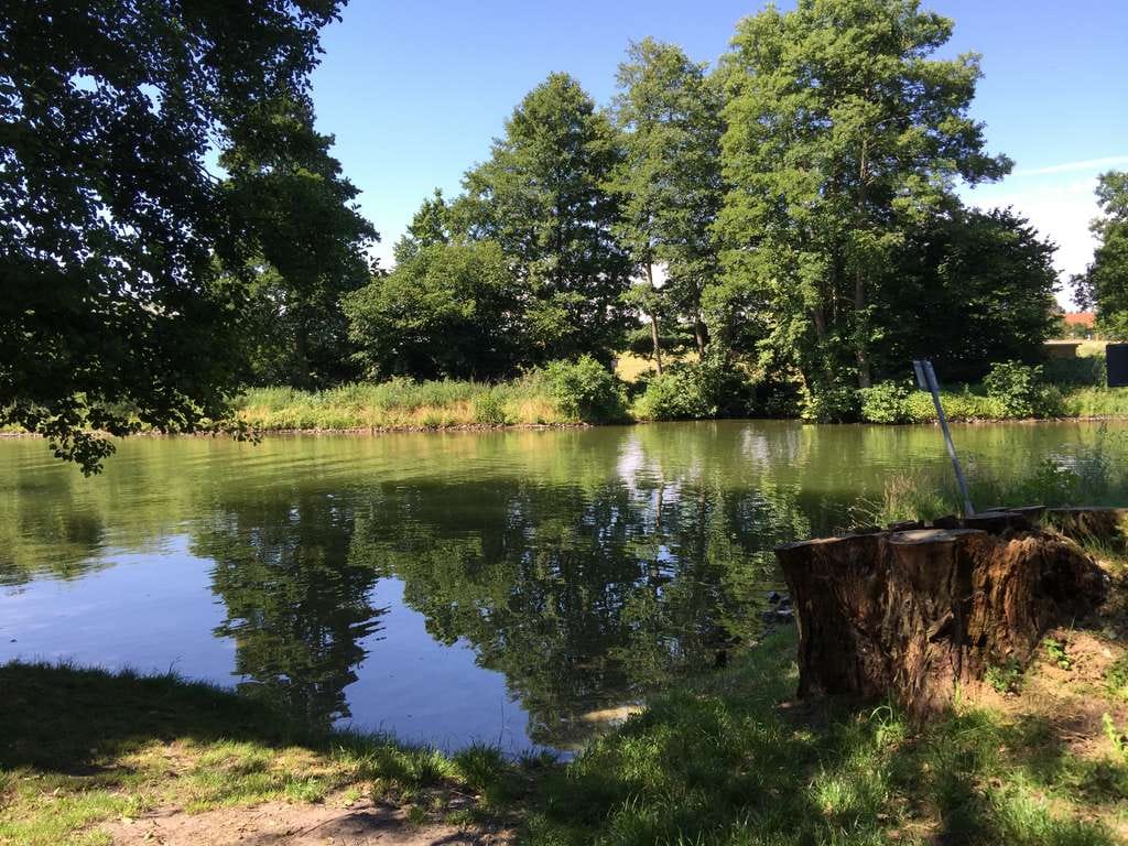 Immobilie in Fürstenberg/Havel - Idyllisches Ferienhaus, saniert, 200m zum See, Eigennutzung oder Kapitalanlage - Bild 0