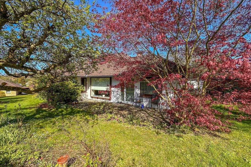 Immobilie in Fleckeby - Bungalow im grünen Kern von Fleckeby - Bild 2