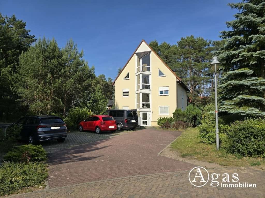 Immobilie in Borkheide - Große Erdgeschosswohnung im schönen Borkheide - Bild 3