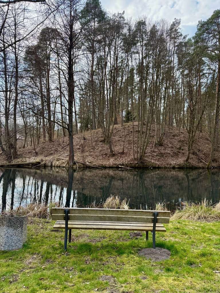 Immobilie in Eberswalde - Spechthausen 28 l Renovierte 3-Zimmer Wohnung mit Gartenanteil, Keller und Stellplatz - Bild 4