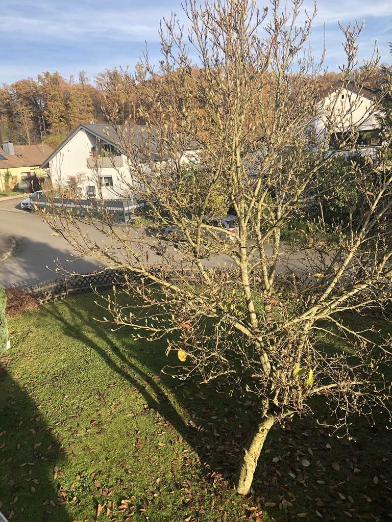 Immobilie in Wolpertswende - Wohnen und vermieten - 3 Familienhaus, das sich mitfinanziert - Bild 3