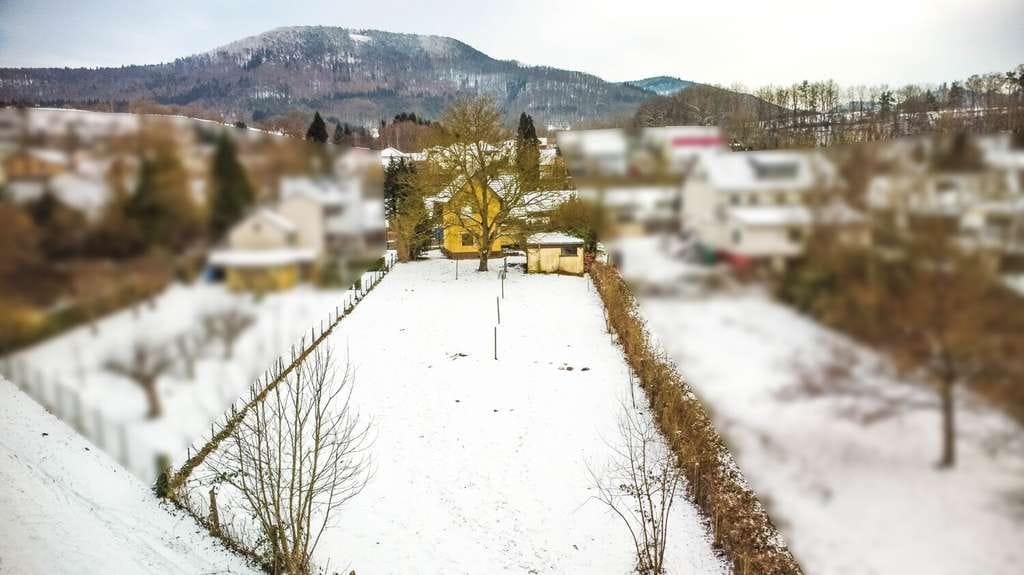 Immobilie in Annweiler am Trifels - Großzügiges 1-2 Familienhaus mit 1.599 m²Grundstück in Annweiler-Queichhambach - Bild 3