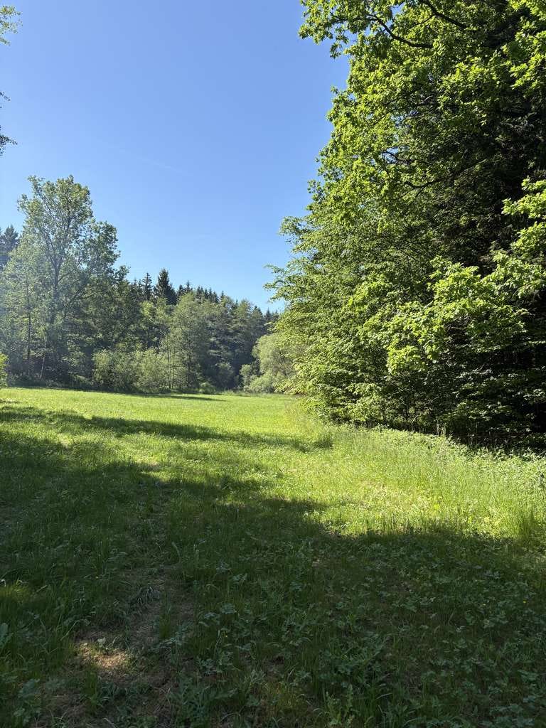 Immobilie in Kaisersbach - Alleinlage. Schönes Landhaus mit 2 WE bei Kaisersbach. (45 km von Stuttgart) - Bild 3