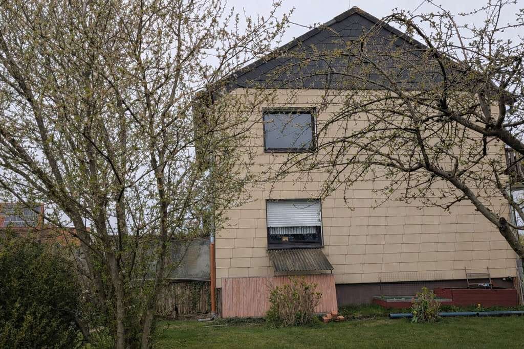 Immobilie in Altenbeken - Eigentum auf großem Grundstück mit viel Potenzial - Bild 1