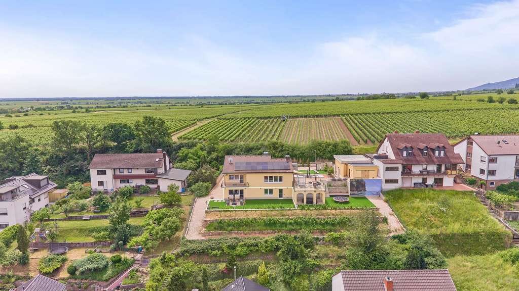 Immobilie in Deidesheim - Ein Logenplatz über den Weinbergen: Moderne Souterrainwohnung mit traumhaftem Ausblick - Bild 2