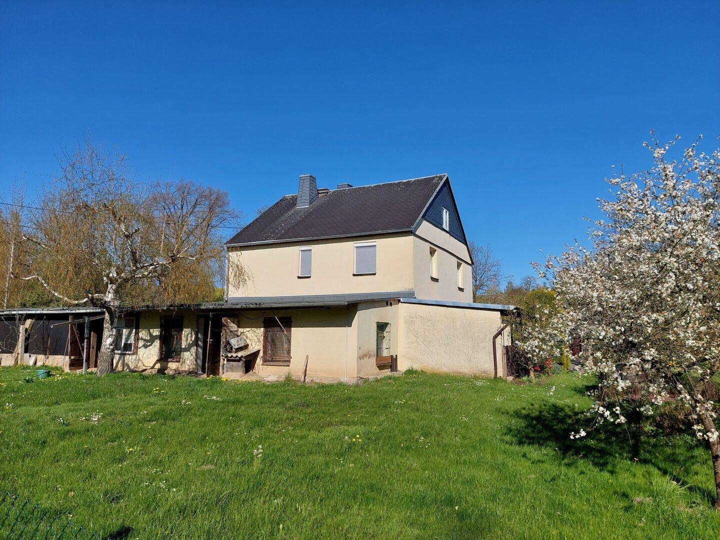 Immobilie in Roßwein - Einfamilienhaus in ruhiger Lage - Bild 0