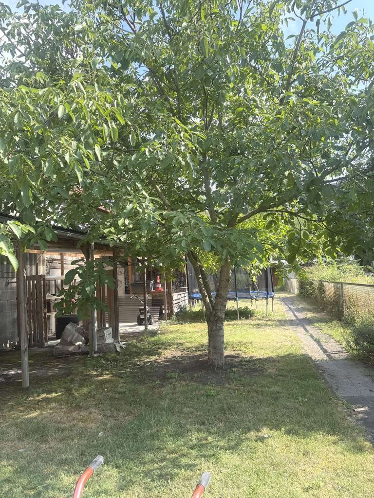 Immobilie in Lorsch - Familienfreundliches 1-Familienhaus mit großem Garten und hohem Freizeitwert in zentraler Stadtlage - Bild 1