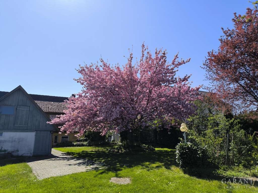 Immobilie in Empfingen - Zweifamilienhaus mit möglicher Gewerbeeinheit, Außengebäuden und traumhaft schönem Gartenpark - Bild 1