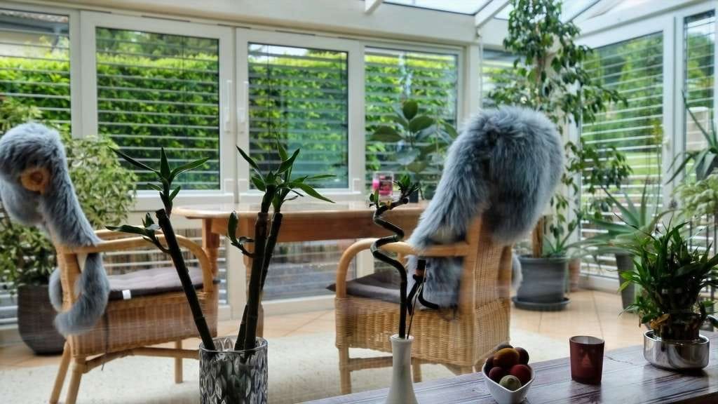 Immobilie in Gottmadingen - Kleines Familienglück mit Wintergarten in Grenznähe - Bild 0
