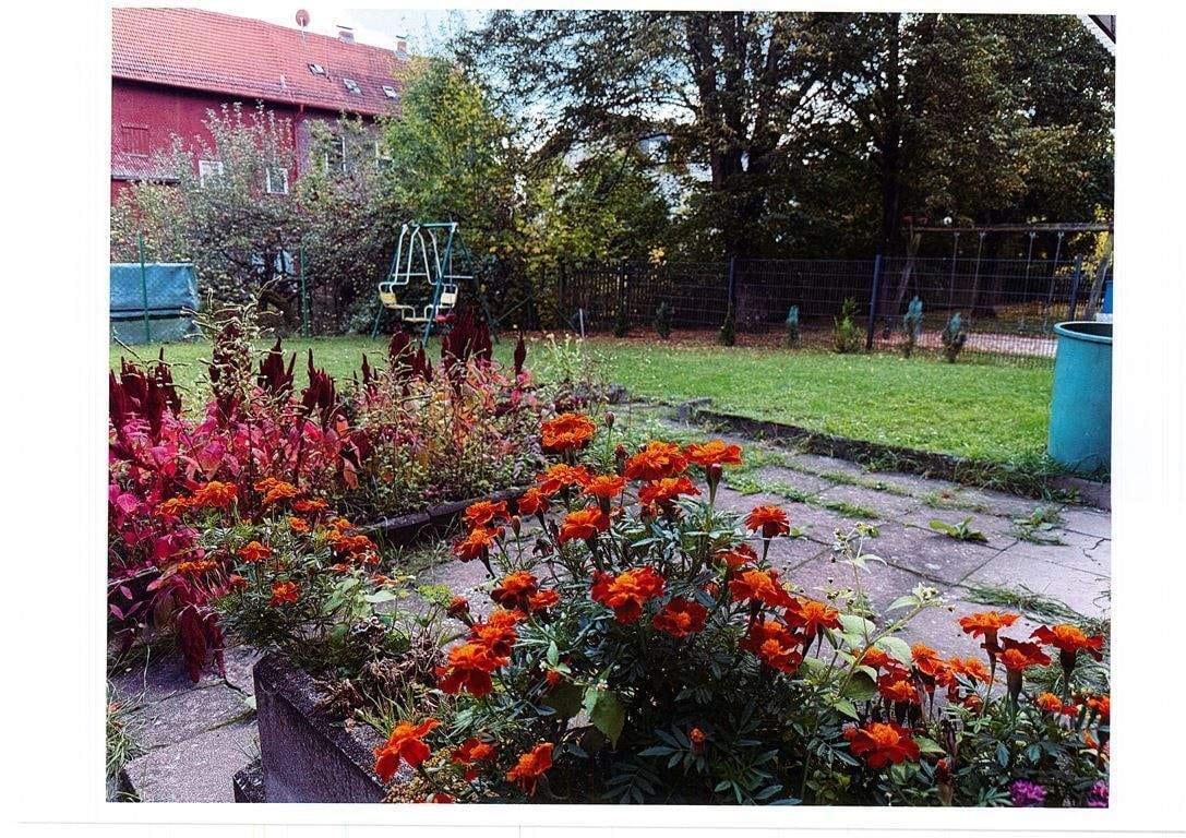 Immobilie in Bad Soden-Salmünster - Kleines Fachwerkhaus als Handwerkerhaus mit Grundstück! Energieausweis in Erstellung! - Bild 3
