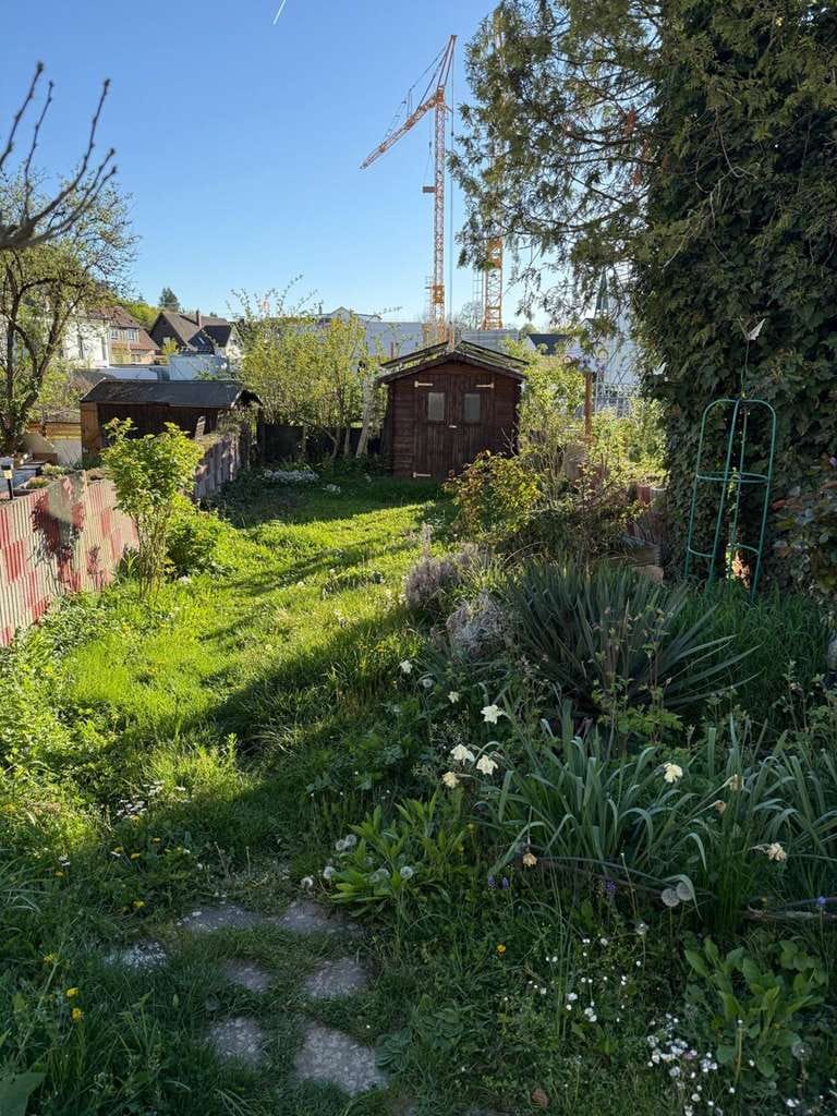 Immobilie in Nufringen - Wohnen mit Wohlfühlfaktor – gepflegtes Reihenhaus in Nufringen - sofort verfügbar - leerstehend - Bild 1