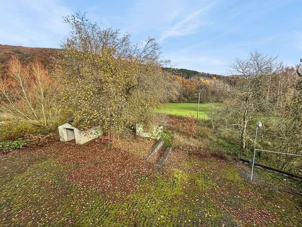 Immobilie in Rötsweiler-Nockenthal - Rötsweiler-Nockenthal: Bauernhaus und zusätzliches Wohnhaus – vielseitiges Sanierungsobjekt  - Bild 2