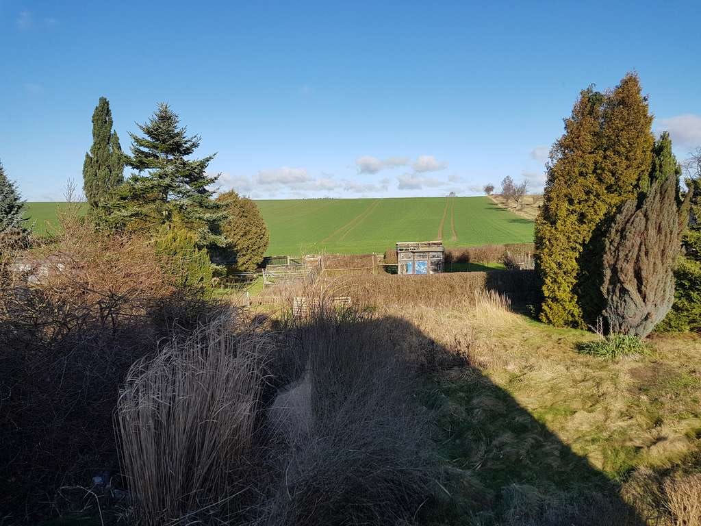Immobilie in Hartha - Großzügiges Mehrfamilienhaus mit viel Potential in ruhiger, idyllischer Lage - Bild 3