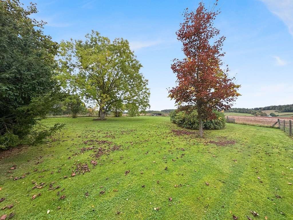 Immobilie in Nentershausen - Charmantes Haus mit Traumgrundstück und vielseitigen Möglichkeiten in Weißenhasel - Bild 4
