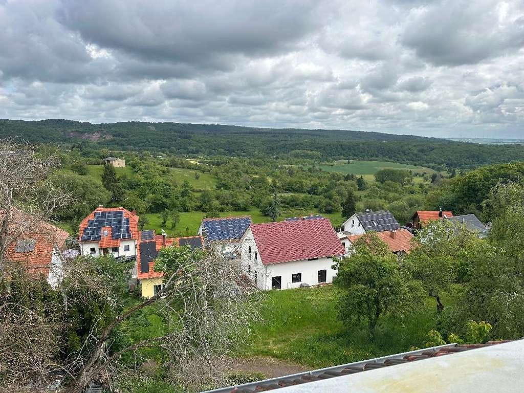 Immobilie in Dannenfels - Schönes Großes Einfamilienhaus bis Mehrfamilienhaus mit Garten und Garage - Bild 1